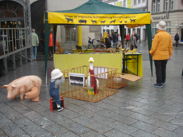 Info-Stand  in Ravensburg am Welt-Tierschutz-Tag 2013